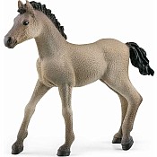 schleich Horse Club Criollo Definitivo Foal