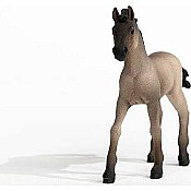 schleich Horse Club Criollo Definitivo Foal