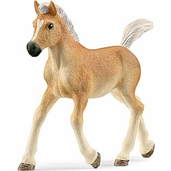 Schleich Haflinger Foal