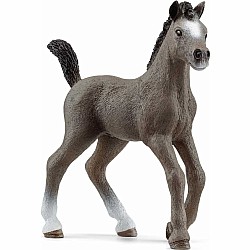 Schleich Selle Français Foal