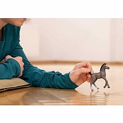 Schleich Selle Français Foal