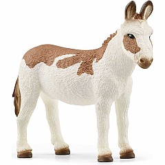 American Spotted Donkey