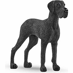 Great Dane