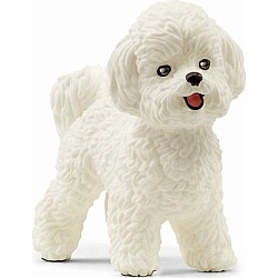 Schleich Bichon Frise