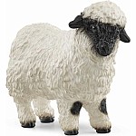 Valais Black-Nosed Sheep