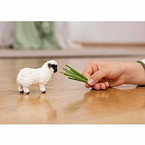 Valais Blacknose Sheep