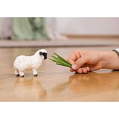 Valais Blacknose Sheep