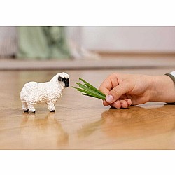 Schleich Valais Blacknose Sheep