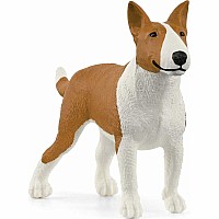 Bull Terrier