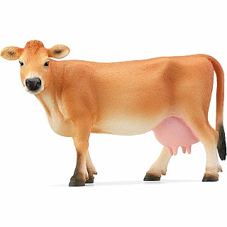 Jersey Cow