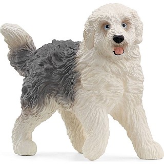 Old English Sheepdog