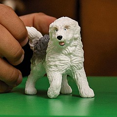 Old English Sheepdog