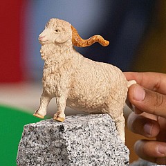 FARM WORLD Angora Goat
