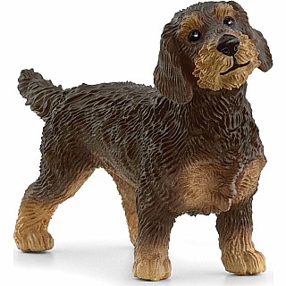 Farm World Wire-Haired Dachshund