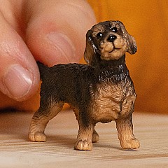 Farm World Wire-Haired Dachshund