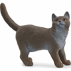 Schleich British Shorthair Cat