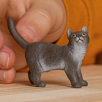Farm World British Shorthair Cat