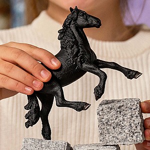 HORSE CLUB Friesian Stallion