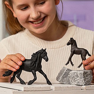 HORSE CLUB Friesian Stallion