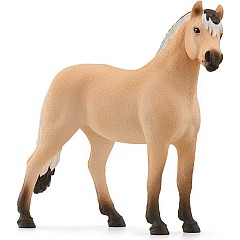 Norwegian Fjord Horse Gelding