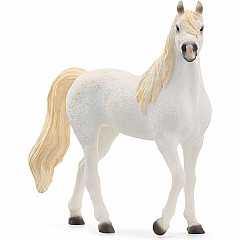 Horse Club Arabian Mare