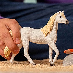 Horse Club Arabian Mare