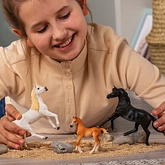 Horse Club Arabian Mare