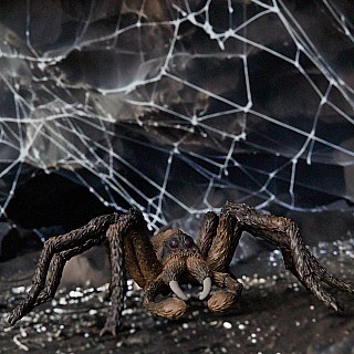 schleich Aragog