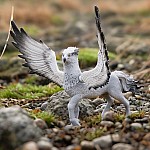 Schleich HP: Buckbeak