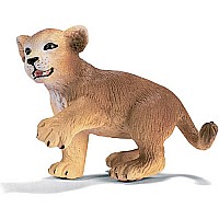 Lion Cub, playing