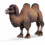 Two-humped Camel