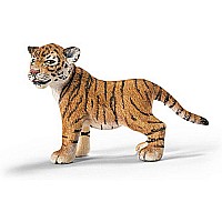 Tiger Cub, Standing