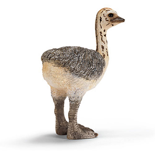 CollectA Ostrich Chick Walking 
