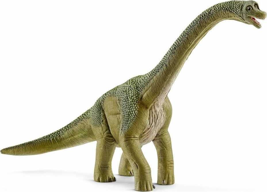 Brachiosaurus - Schleich - Dancing Bear Toys