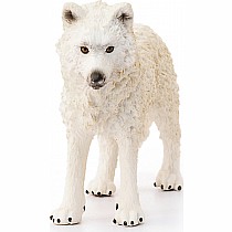 Arctic Wolf