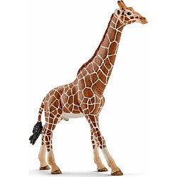Schleich Giraffe, Male