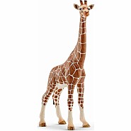 Schleich Giraffe, Female