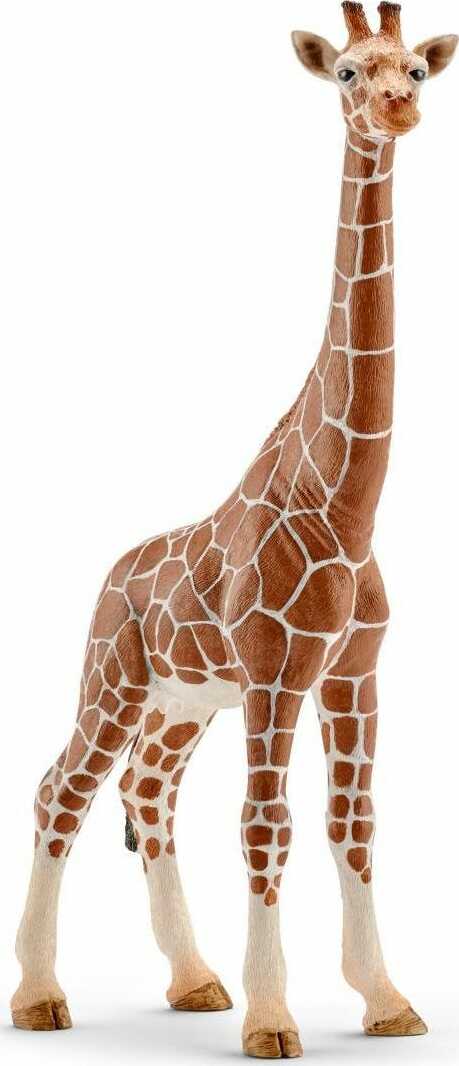Giraffe, Female - Imagination Toys