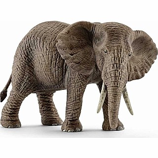 African Elephant, Female