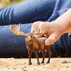 Schleich Moose Bull