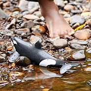 Schleich Orca  Whale