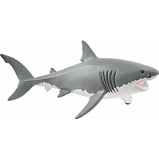 Great White Shark