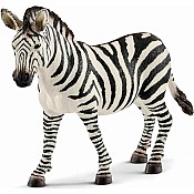 Zebra, Female