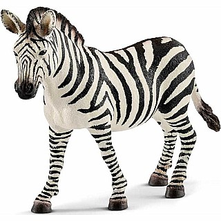 Zebra Female