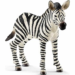 Schleich Zebra Foal