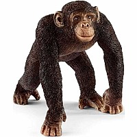 Chimpanzee Male Schleich