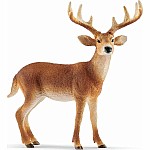 White Tailed Buck (PLAN)