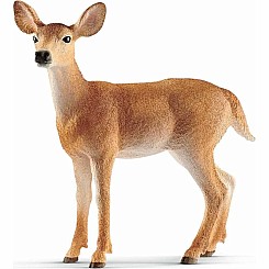 White-Tailed Doe