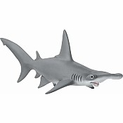 Hammerhead Shark