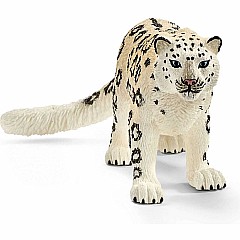 Snow Leopard